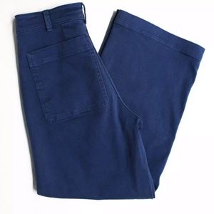 Everlane blue crop pants 6
